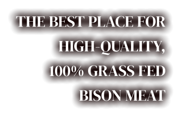 THE BEST PLACE FOR  HIGH-QUALITY,  100% GRASS FED  BISON MEAT